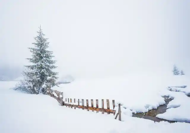 Kanva ar sniegu, egli un sētu