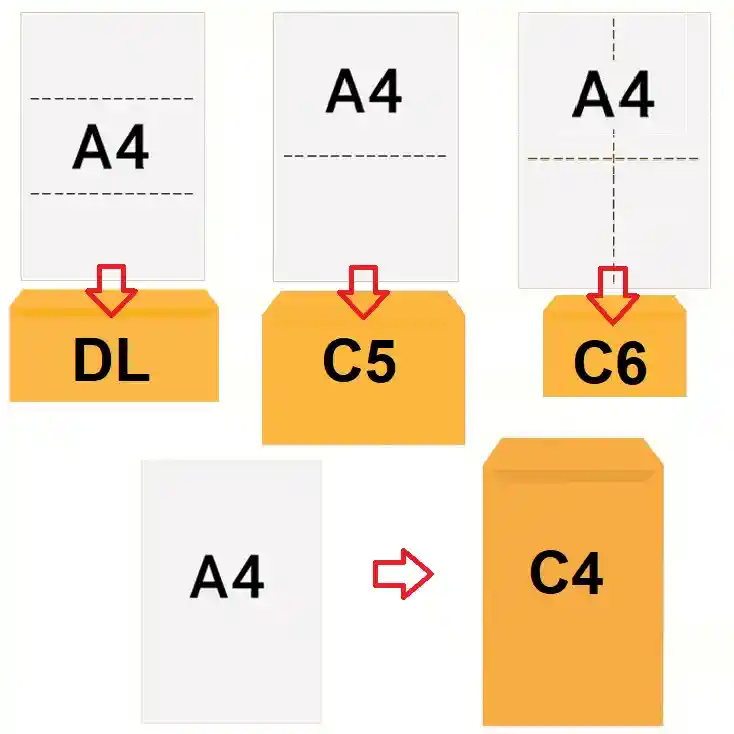 C4, C5, C6, DL Envelope Sizes