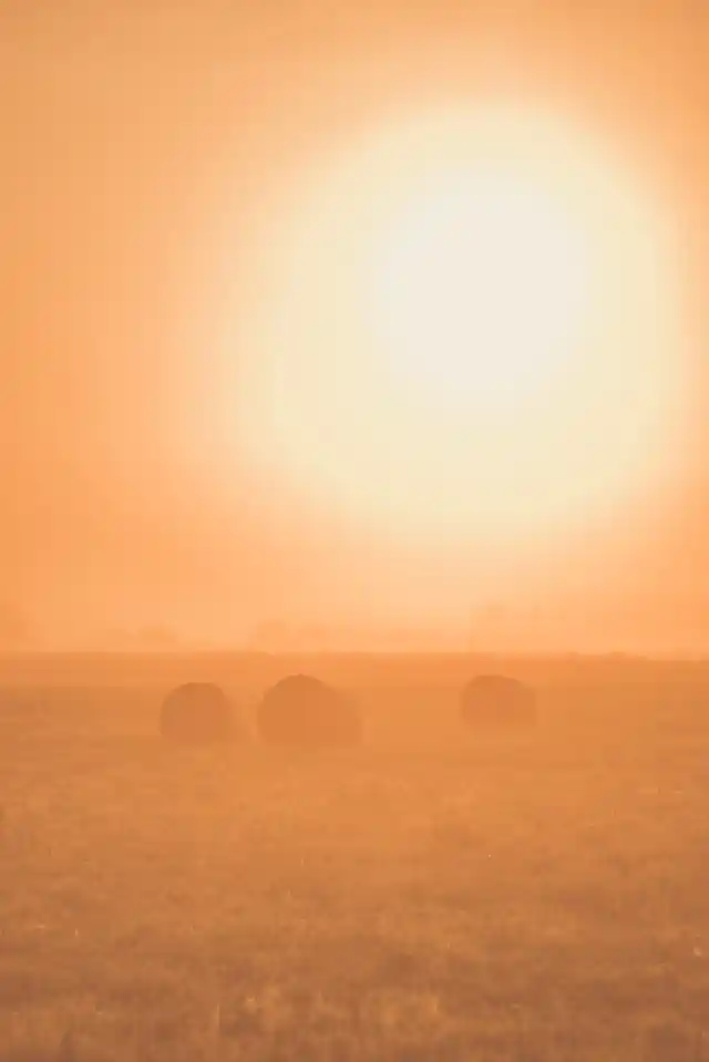 Foto kanva - spoža saule un salmu ruloni