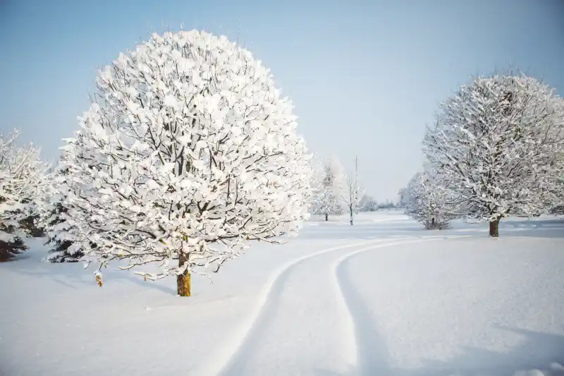 Foto kanva - ziemas ainava