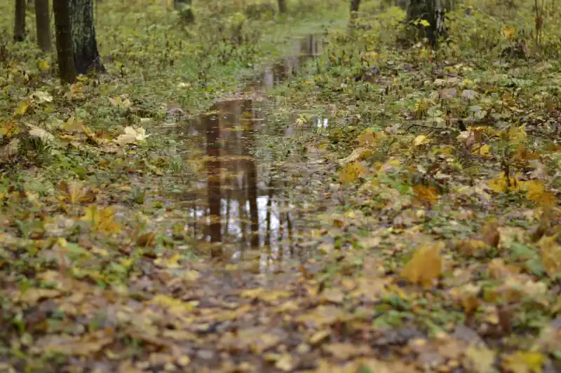 Kanvas bildes - rudens lapas un ūdens