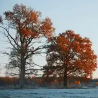 Foto uz kanvas