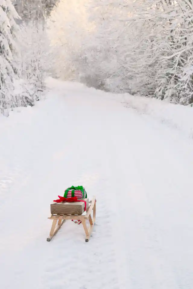 Foto uz kanvas - balts ceļš, balti koki, ragaviņas ar dāvanām