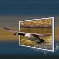 Liela izmēra foto druka