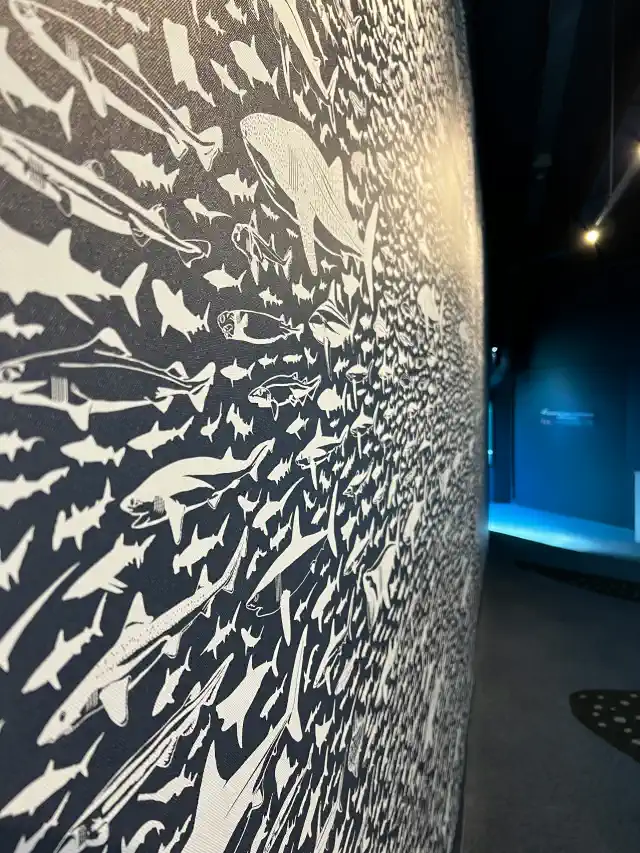 Vinila sienu uzlīmes - daudz zivju pa visu sienu