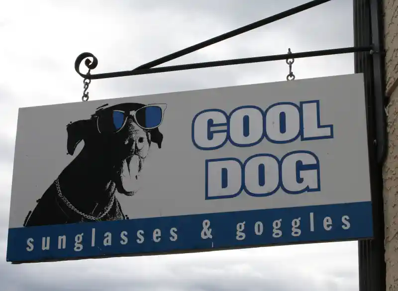 Reklāmas uzlīmes - saulesbriļļu izkārtne ar suni