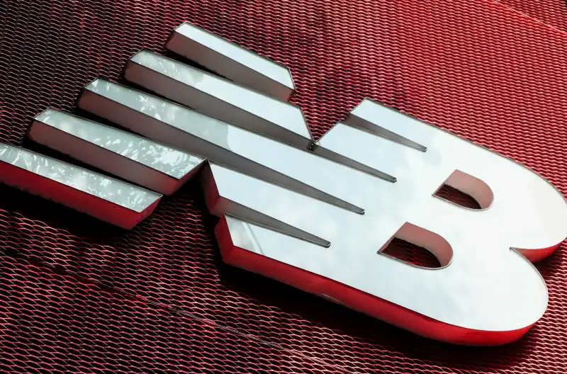 Logo dizaina izstrāde - balti birti iz sarkana sieta