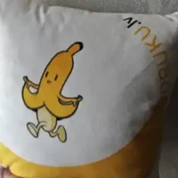 Spilvenu apdruka